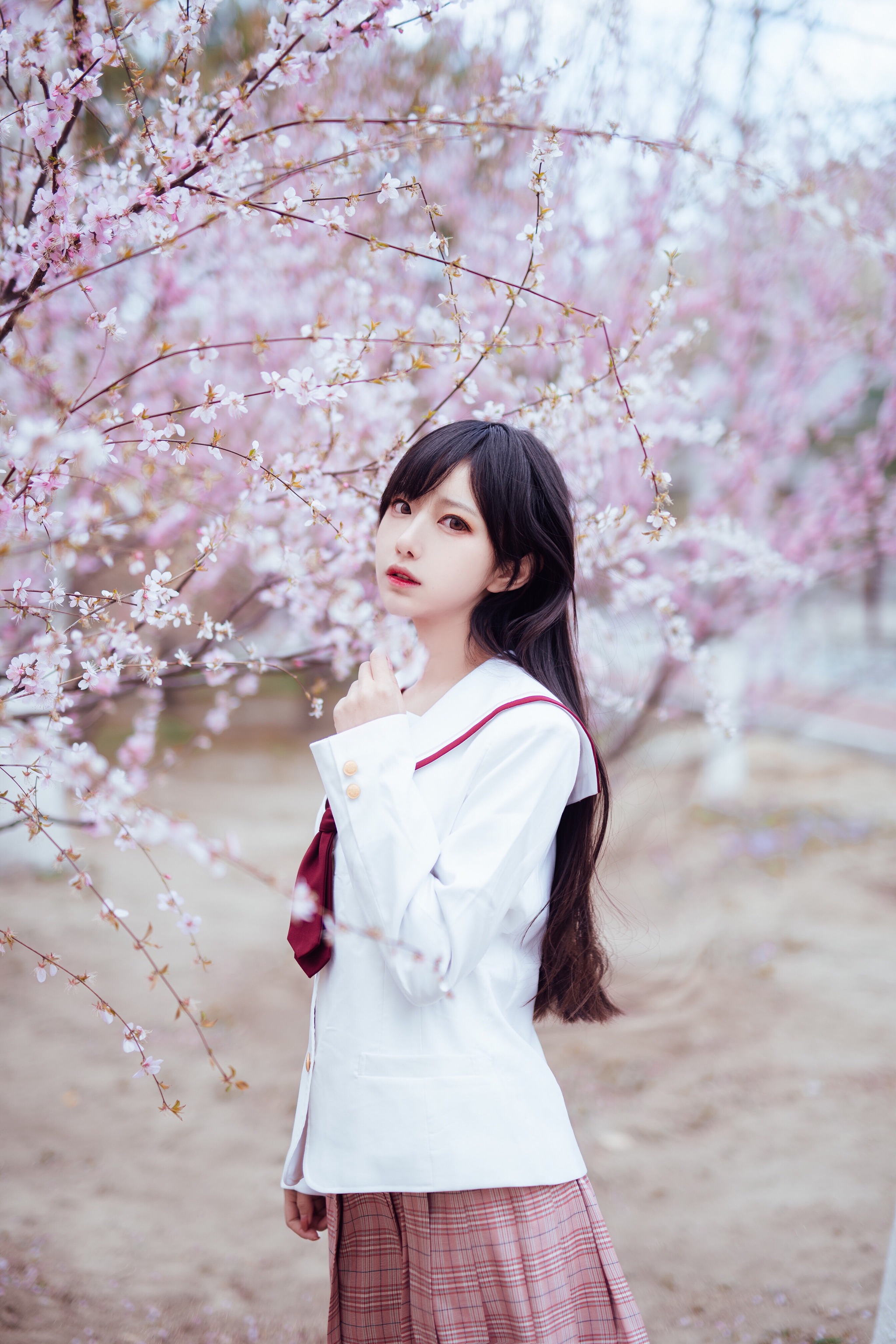 Shika小鹿鹿 - NO.047 樱花 [13P]-XikXak